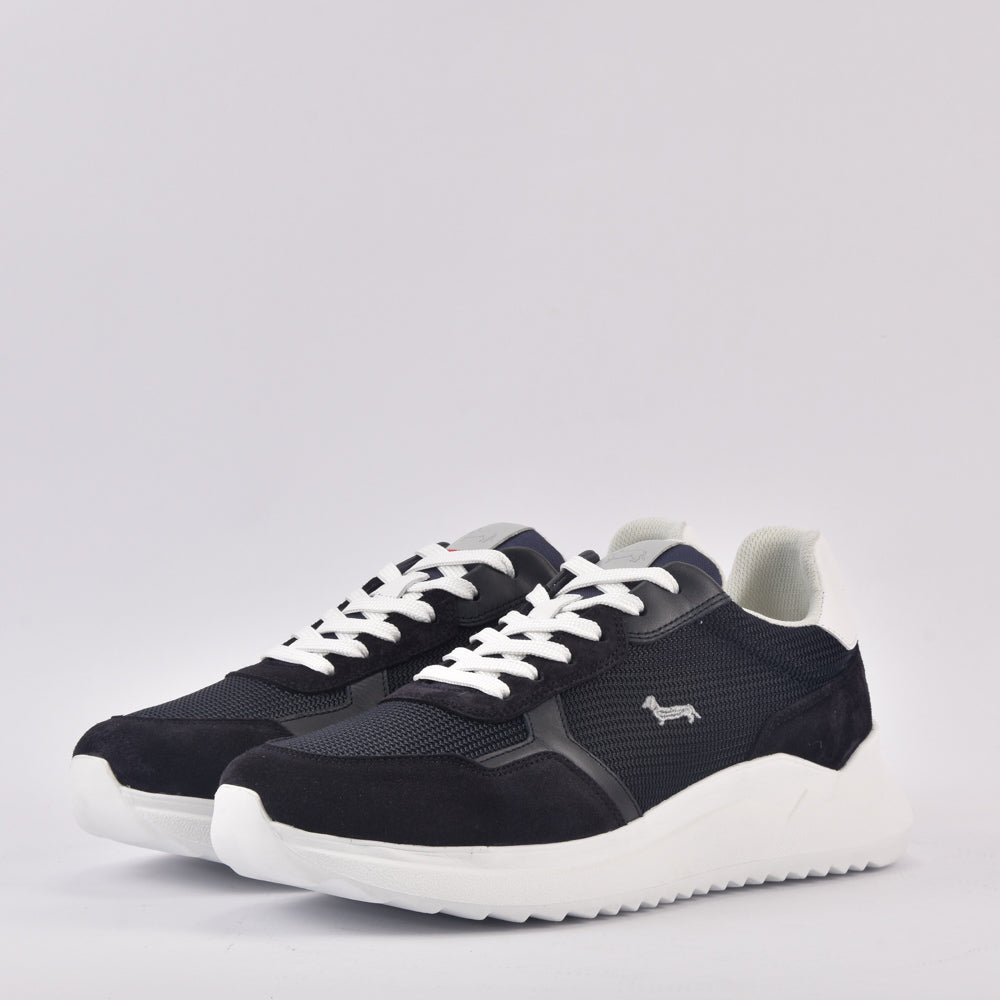 HARMONT AND BLAINE SCARPA UOMO CAMOSCIO  BLU